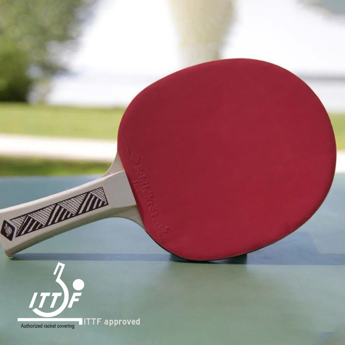 DONIC Young Champ Set 150