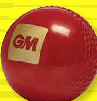 GM Trubounce Ball