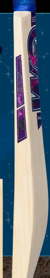 GM Galaxy Signature L.E. English Willow Bat