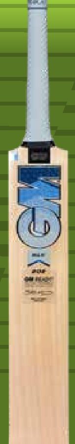 GM Maxi 202 Kashmir Willow Bat
