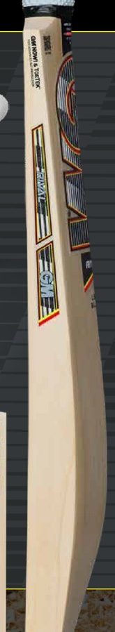 GM Rival Signature L.E. English Willow Bat