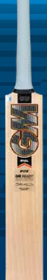 GM Rival 202 Kashmir Willow Bat
