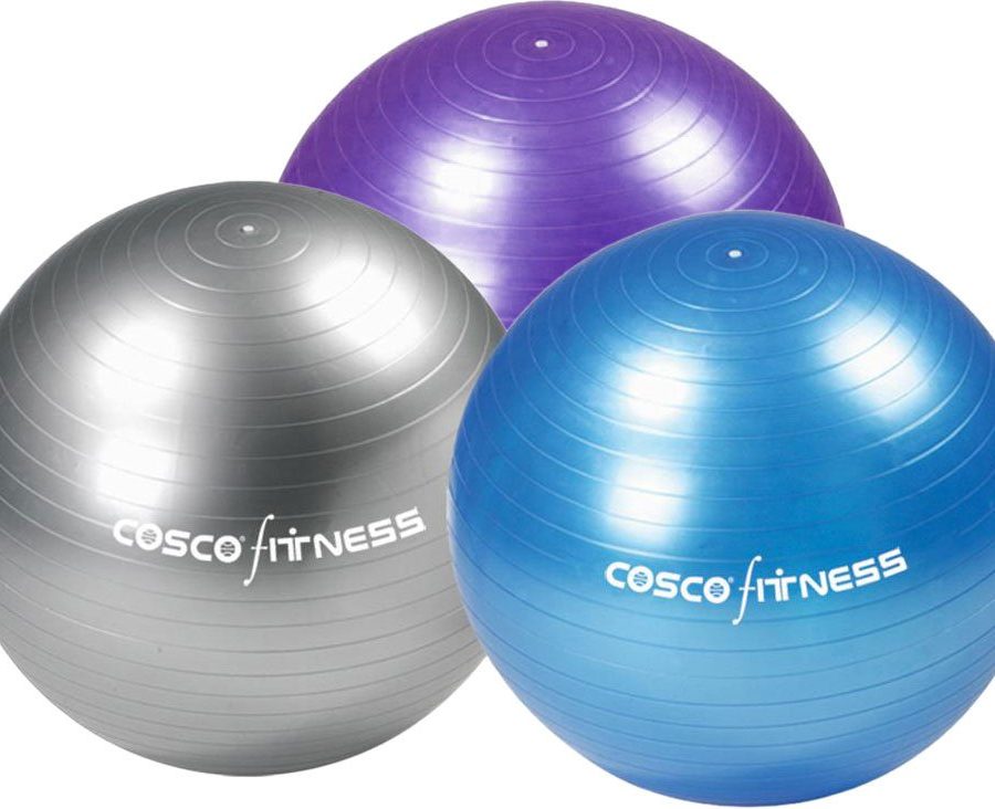 COSCO Gym Ball 65 cm
